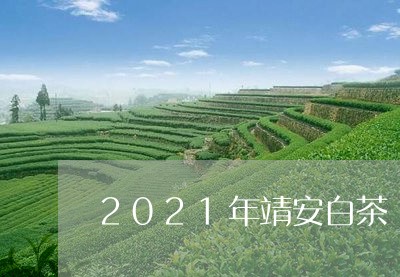 2021年靖安白茶/2023071319583