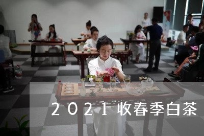 2021收春季白茶/2023071395179