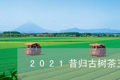 2021昔归古树茶王/2023092266140