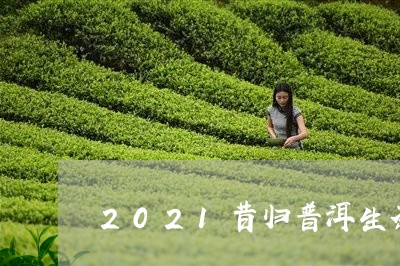 2021昔归普洱生茶/2023061374819