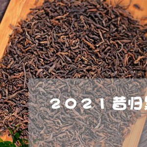 2021昔归黑印普洱茶/2023120724169