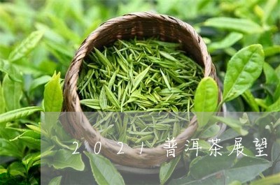 2021普洱茶展望/2023091448280