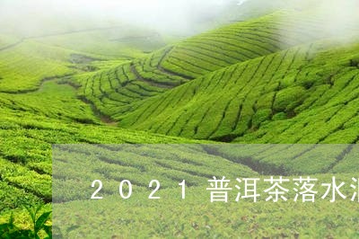 2021普洱茶落水洞/2023100657260