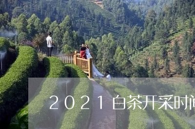 2021白茶开采时间/2023092708160