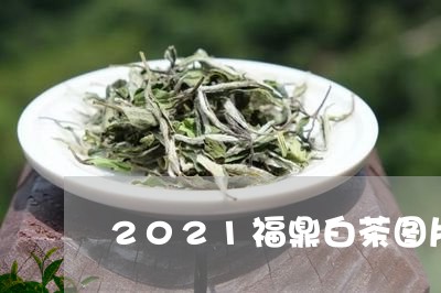 2021福鼎白茶图片/2023092791705