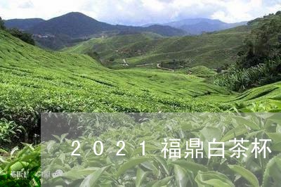 2021福鼎白茶杯/2023091383914