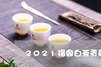 2021福鼎白茶贡眉多少钱一斤/2023062804048