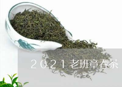 2021老班章春茶/2023042793616