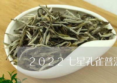 2022七星孔雀普洱茶/2023112406950