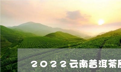 2022云南普洱茶原料价格/2023082627481