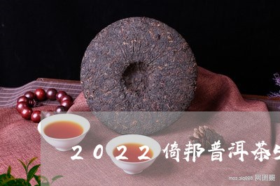 2022倚邦普洱茶500克/2023082854049