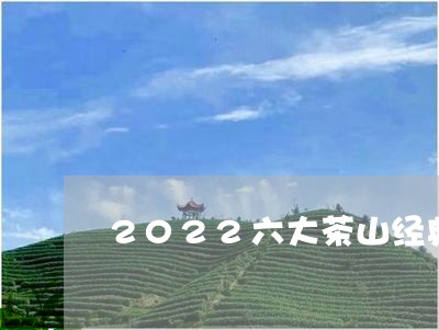 2022六大茶山经典系列普洱茶/2023110455836