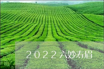 2022六妙寿眉/2023090839470