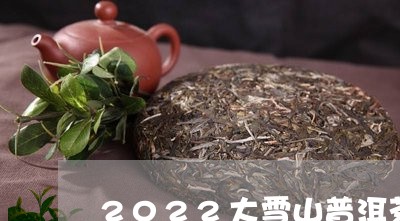 2022大雪山普洱茶/2023062133349