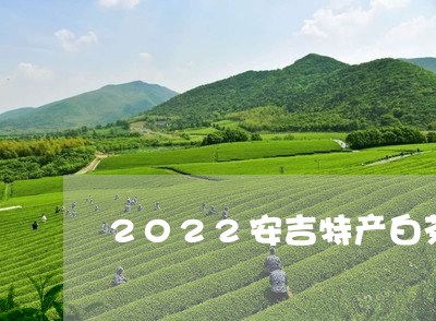 2022安吉特产白茶/2023092758483