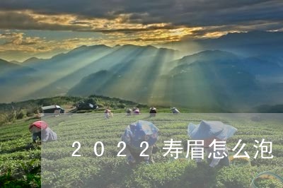 2022寿眉怎么泡/2023120458383