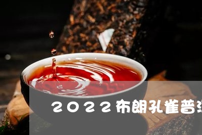 2022布朗孔雀普洱茶/2023120737381