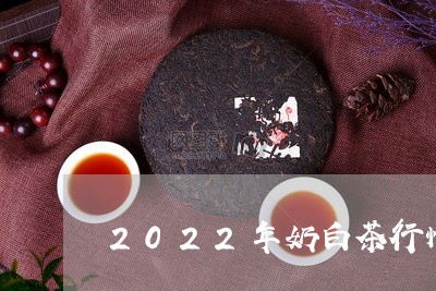 2022年奶白茶行情/2023092767472