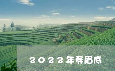 2022年寿眉底/2023120483939