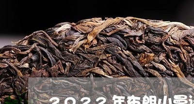 2022年布朗山曼诺普洱茶价格/2023060207151