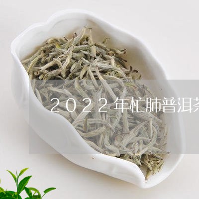 2022年忙肺普洱茶生茶/2023112927372