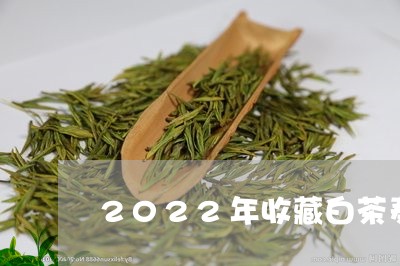 2022年收藏白茶寿眉茶饼/2023062989471