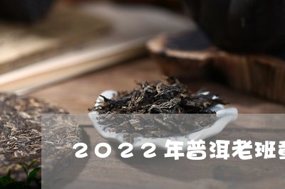 2022年普洱老班章/2023092489613