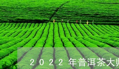 2022年普洱茶大师排行/2023082801926