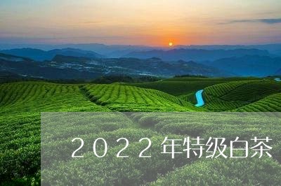 2022年特级白茶/2023071373930