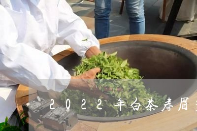 2022年白茶寿眉多少钱一斤/2023082570825