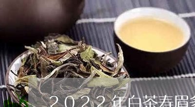 2022年白茶寿眉多少钱一斤/2023111609692