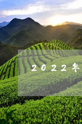 2022年白茶排行榜/2023092763137