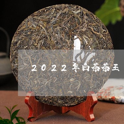 2022年白茶茶王/2023121584715