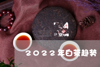 2022年白茶趋势/2023071321483