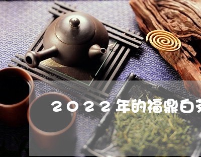 2022年的福鼎白茶更好喝/2023062981615