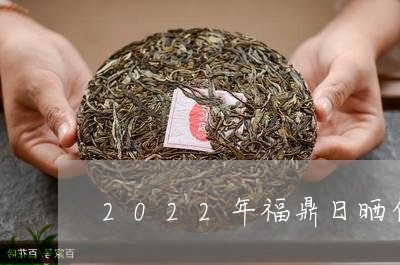 2022年福鼎日晒白茶/2023092182515