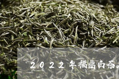 2022年福鼎白茶品质/2023092270614