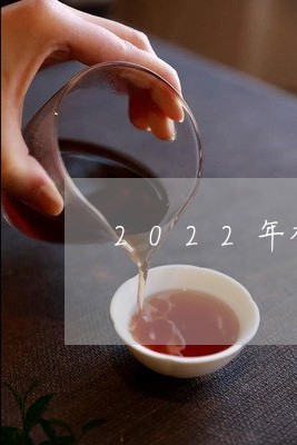 2022年福鼎白茶白牡丹/2023111510485