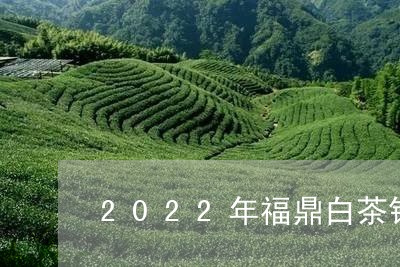 2022年福鼎白茶银针/2023092206462