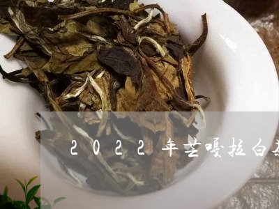 2022年芒嘎拉白茶/2023092752705