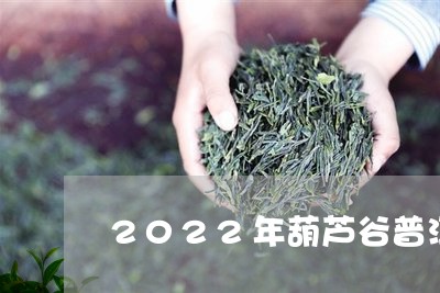 2022年葫芦谷普洱茶价格/2023110219465