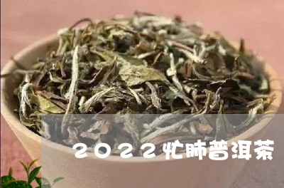 2022忙肺普洱茶/2023091414927