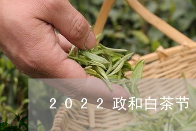 2022政和白茶节/2023120430505