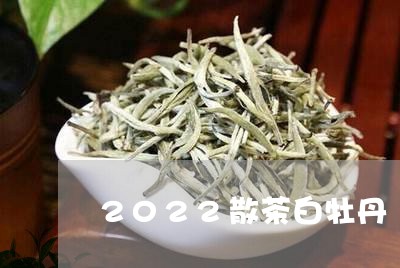 2022散茶白牡丹/2023120575958