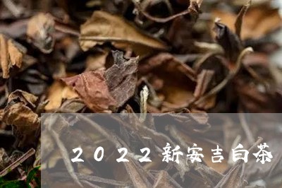 2022新安吉白茶/2023121550583