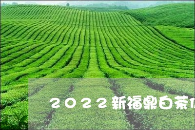 2022新福鼎白茶价格/2023092158560