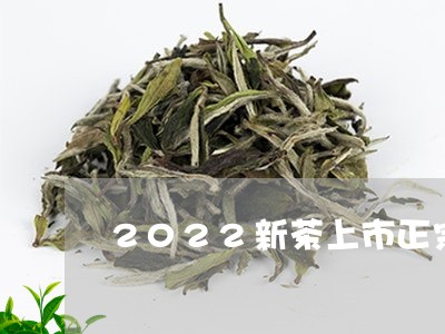 2022新茶上市正宗福鼎白茶/2023062930570