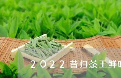 2022昔归茶王鲜叶/2023071634926