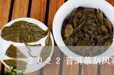 2022普洱茶刮风寨/2023112789580