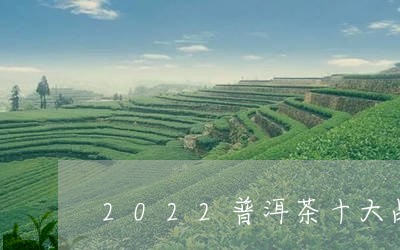 2022普洱茶十大品牌排行榜/2023082843056